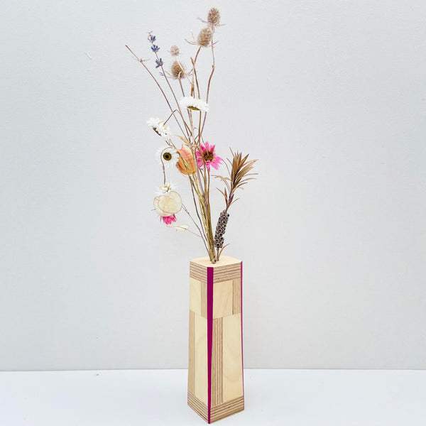 Magenta Birch 'Brummie Scandi' Pot.