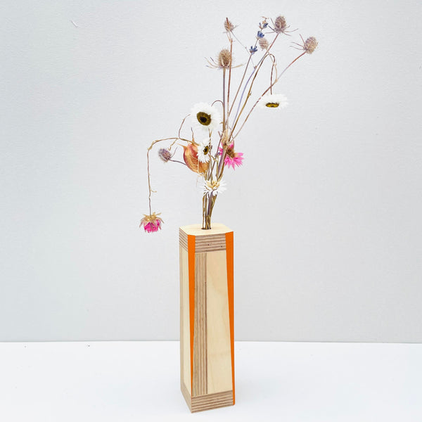 Orange Birch 'Brummie Scandi' Pot.