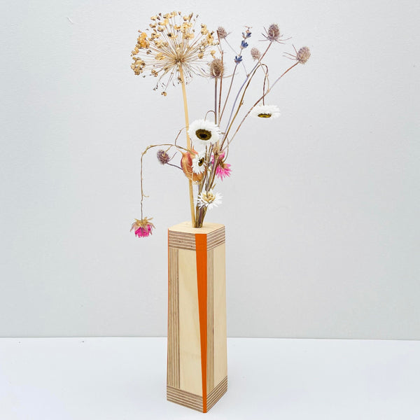 Orange Birch 'Brummie Scandi' Pot.