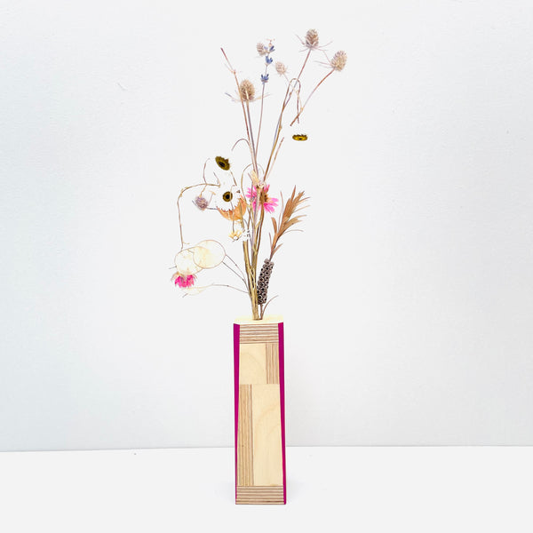 Magenta Birch 'Brummie Scandi' Pot.