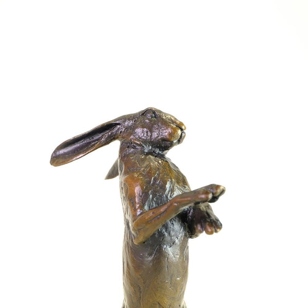 Bronze  'Medium Standing Hare' by Michael Simpson