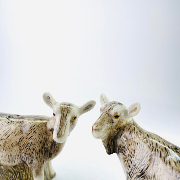 Ceramic 'Toggenburg Goat' Salt and Pepper Set by Quail