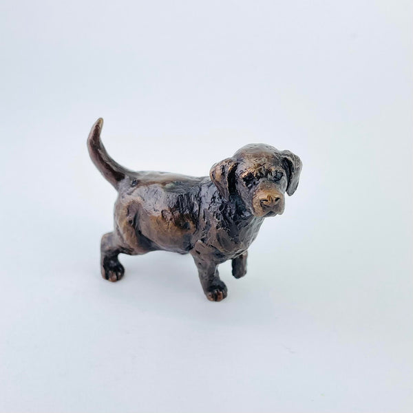 Bronze Labrador Puppy by Michael Simpson.