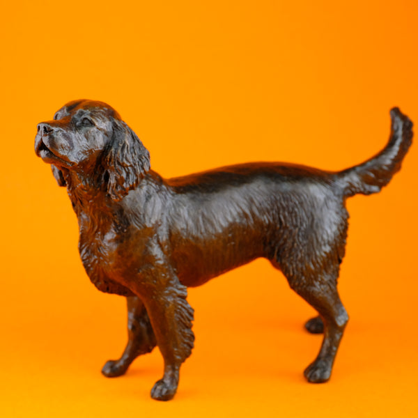 Limited Edition Bronze 'Medium Springer Spaniel' Sculpture by Michael Simpson.