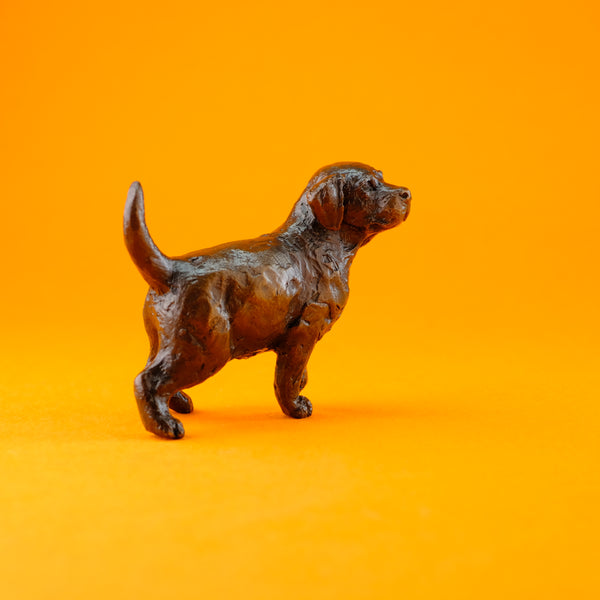 Bronze Labrador Puppy by Michael Simpson.