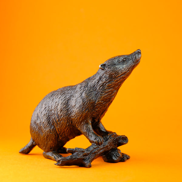 Limited Edition Bronze 'Badger' by Keith Sherwin.