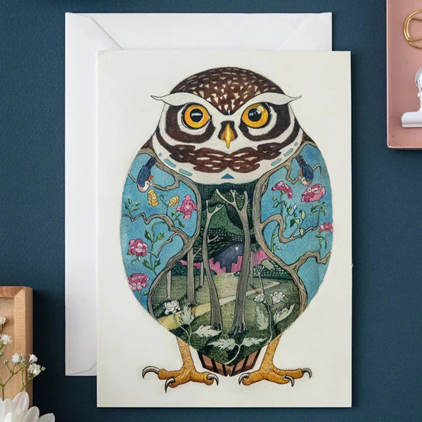 'Little Owl' Blank Greetings Card by DM Collection.