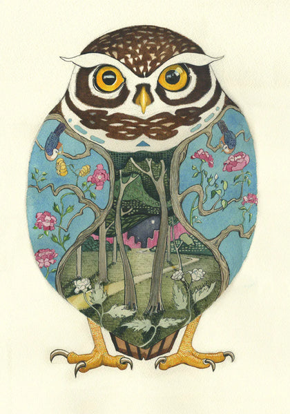 'Little Owl' Blank Greetings Card by DM Collection.