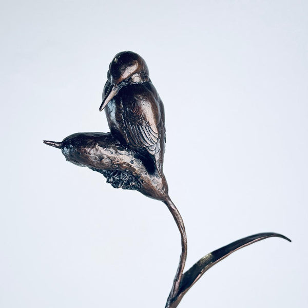 Limited Edition Bronze Kingfisher by Michael Simpson.