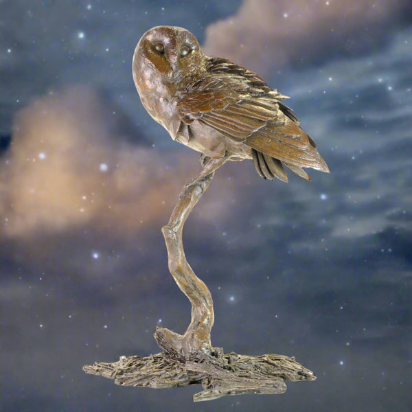 Bronze 'Night Owl'  by Michael Simpson.