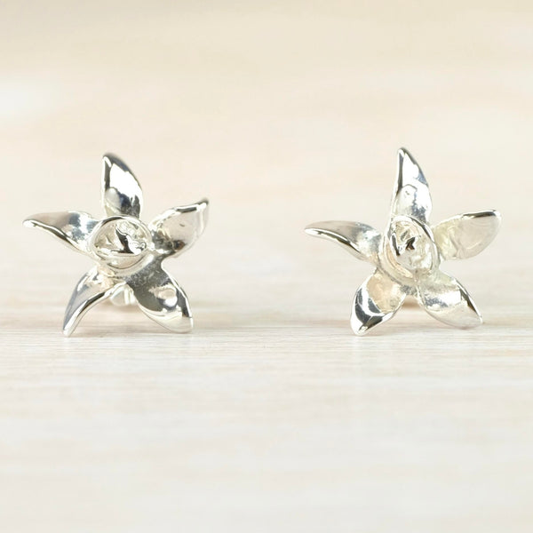 Silver five petalled flowers with pointed petals looking a bit like a star. There is a circular raised bit in the middle, giving a 3D effect.
