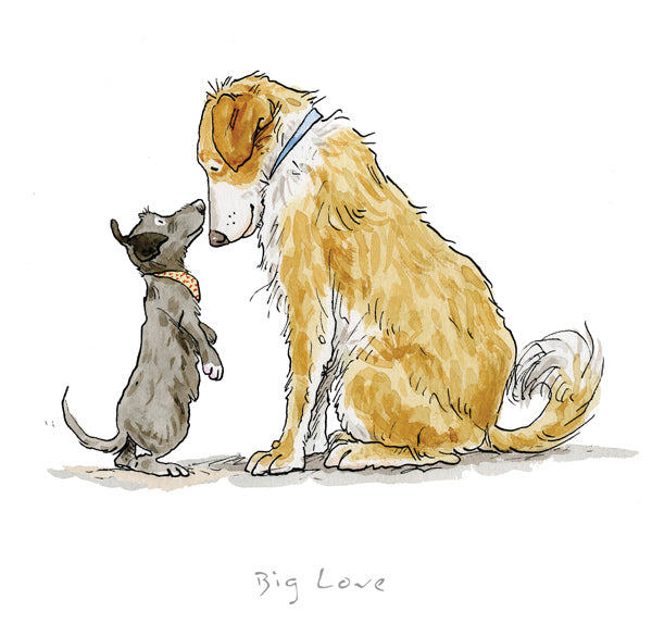 'Big love' From 'A Dog's Life' Framed Limited Edition Print by Anita Jeram.