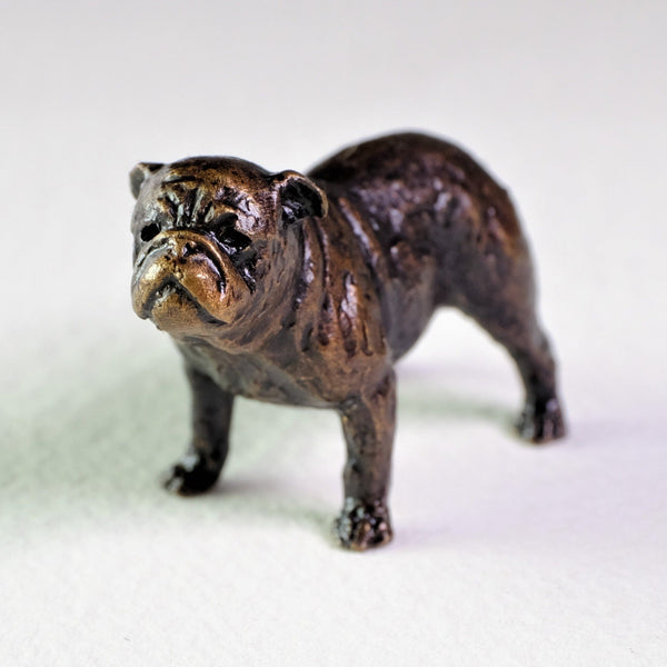 Bronze " English Bull Dog " Miniature Sculpture.