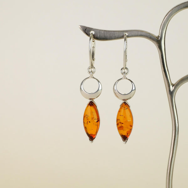 Silver Circle and Amber Earrings.