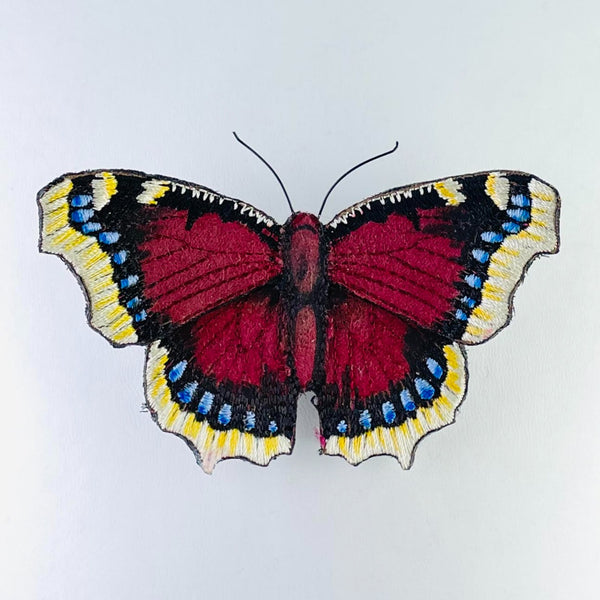 Beautiful butterfly. It has a red/brown body and inner part of wings with black edging dotted with blue spots. The tips of the wings are yellow and white striped. Two antennae stand upright from the head.