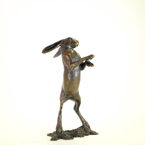 Bronze  'Medium Standing Hare' by Michael Simpson
