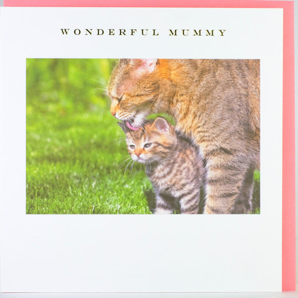 'Wonderful Mummy'  Card by Susan O'Hanlon.