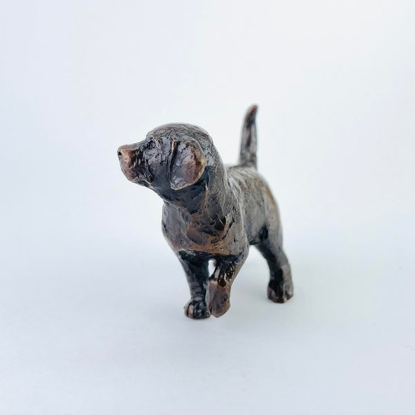 Bronze Labrador Puppy by Michael Simpson.